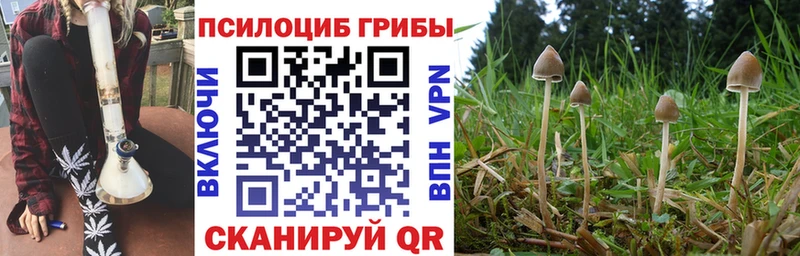 Галлюциногенные грибы GOLDEN TEACHER  Кумертау 
